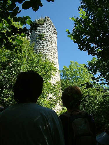 The ruins of Mauchamp castle