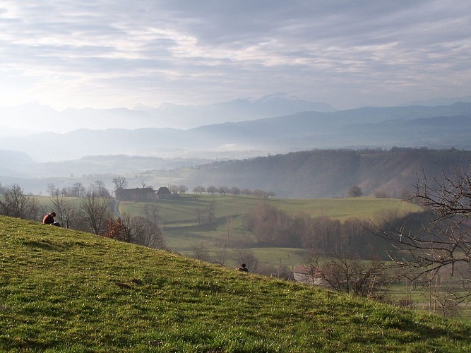 Les ruines du château de Mauchamp