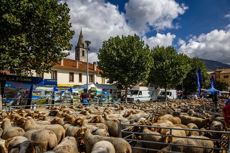 Saint-André-les-Alpes