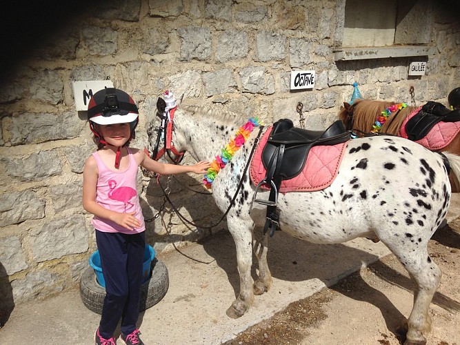 Balades à poneys et stages poneys à thème