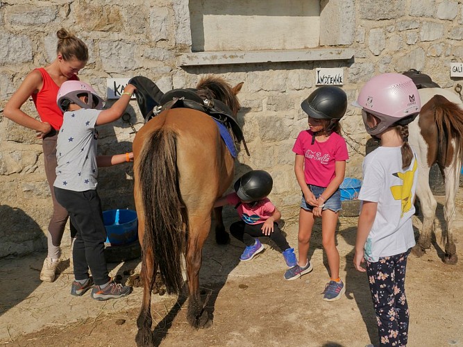 Balades à poneys et stages poneys à thème