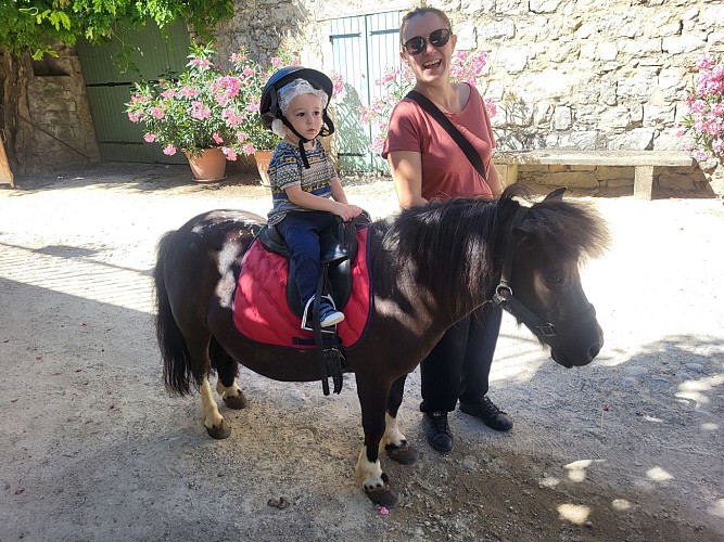 Balades à poneys et stages poneys à thème