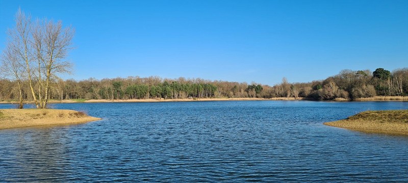 Aire de pique-nique de l'étang des Monteaux