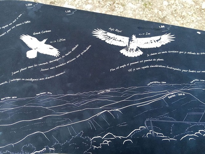 Mont Lachens, le toit du Var