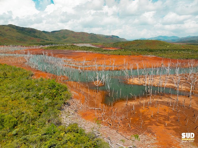 Blue River Provincial Park