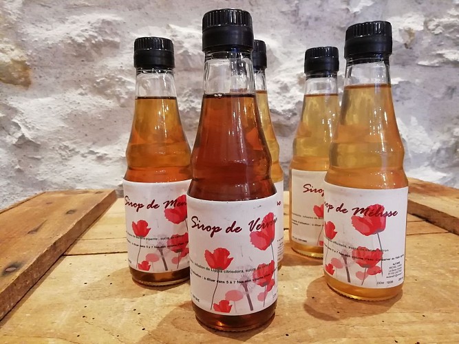 Les Pépinières de Campans