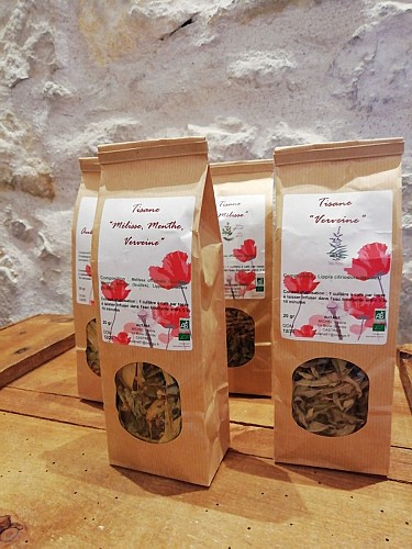 Les Pépinières de Campans