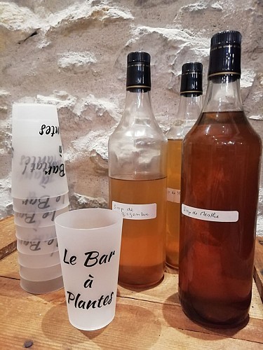 Les Pépinières de Campans