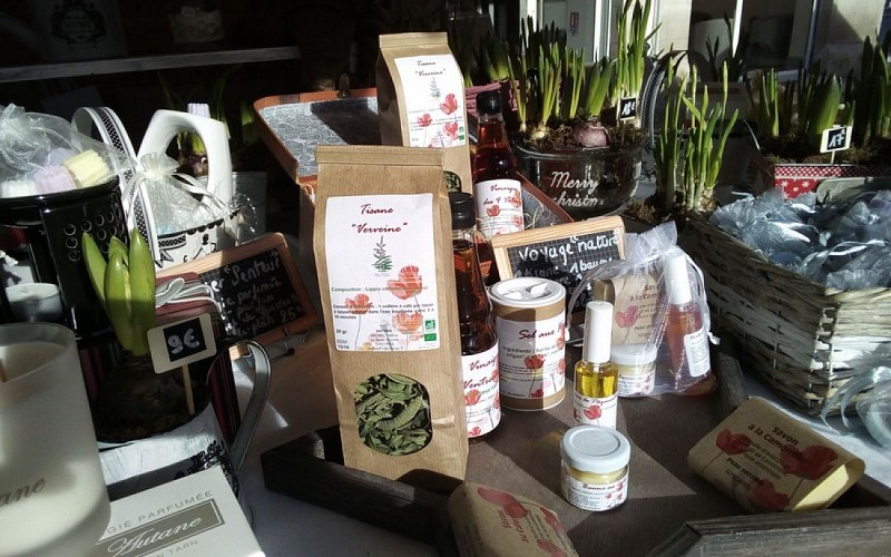 Les Pépinières de Campans