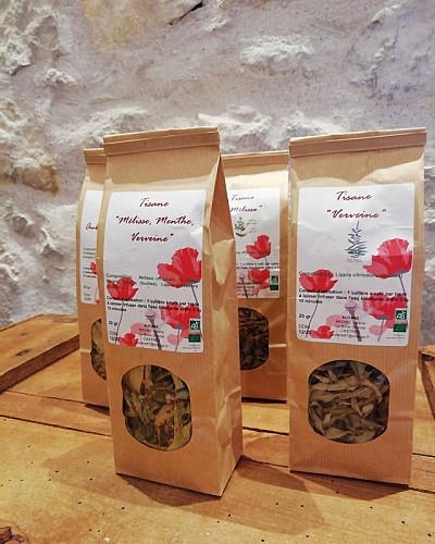 Les Pépinières de Campans