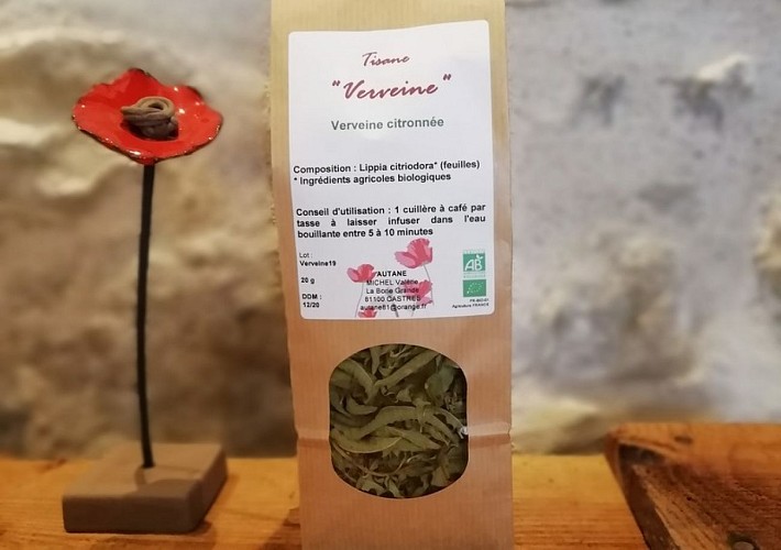 Les Pépinières de Campans