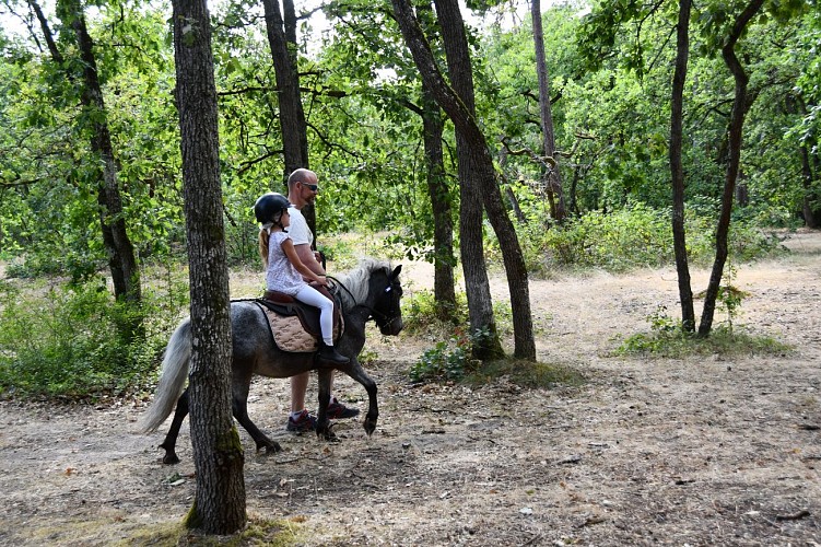Les activités de l'Ile de Loisirs de Buthiers