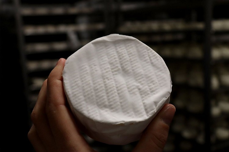 GAEC la ferme des Bacholles