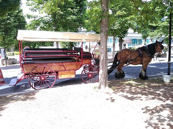 Les Calèches de Vichy