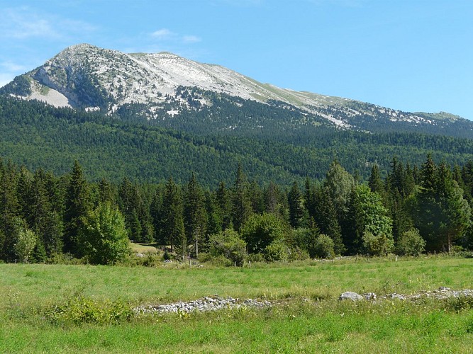 La Tête des Chaudières