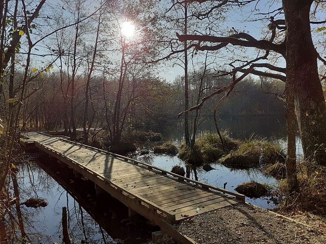 Bizadan pond marsh, ENS de l'Ain