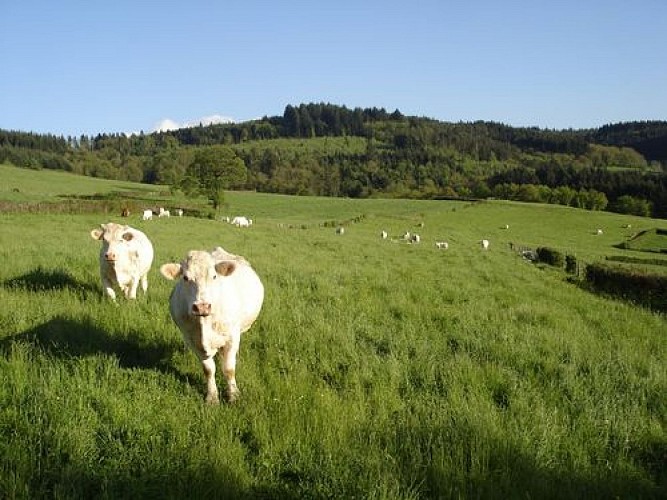 Circuit de Saint Christophe la Montagne