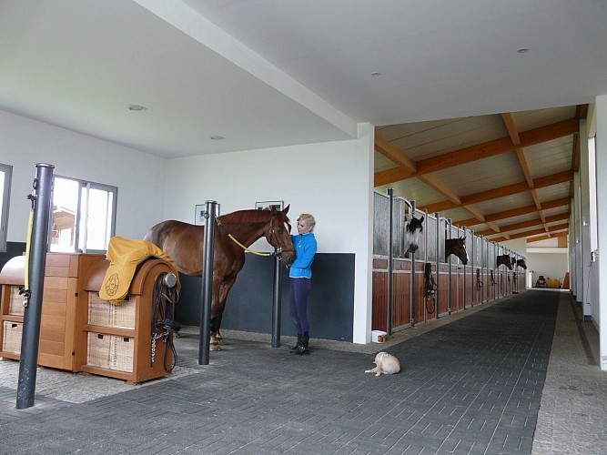 Domaine équestre de la Chênaie – Studio 2