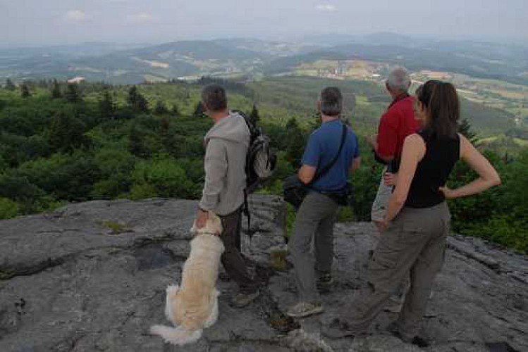 Circuit de Propières