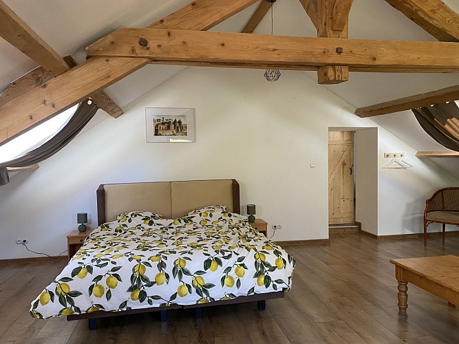 Grand gîte au Château de Bussolles