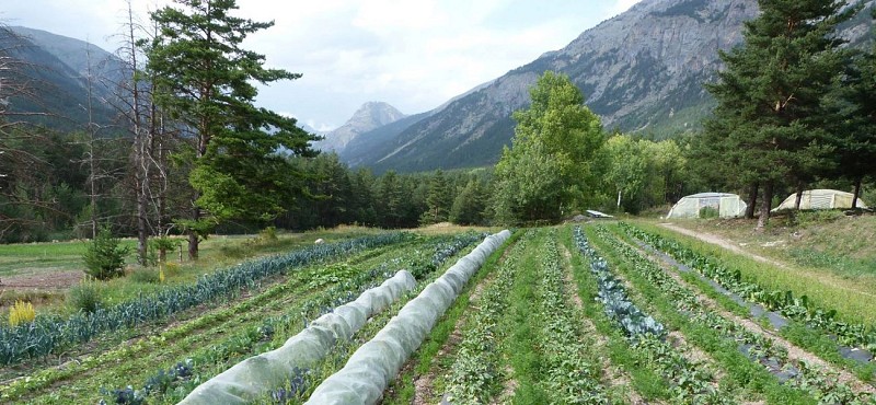 La Ferme des Alberts