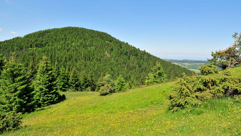 Le Puy de la Vache