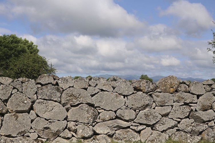 La Planèze de Saint-Flour