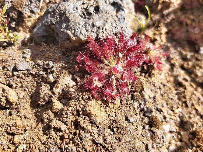 Trou d'eau des Amoureux