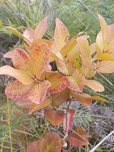 Trou d'eau des Amoureux