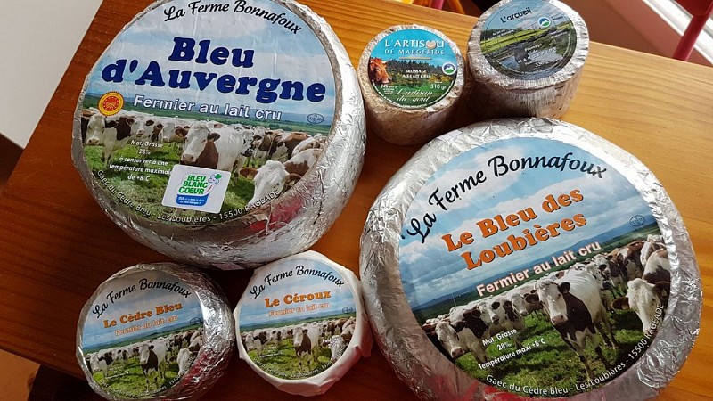 Gaec du Cèdre Bleu - Visite de ferme