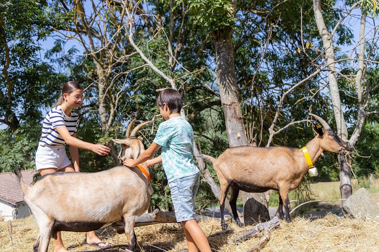 Gaec du Cèdre Bleu - Visite de ferme