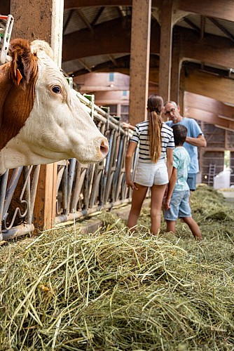 Gaec du Cèdre Bleu - Visite de ferme