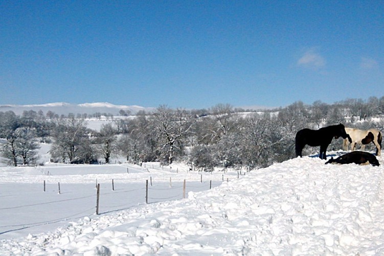 Equestrian Centre Chabridet