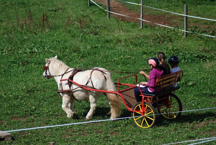 Centre Equestre de Chabridet