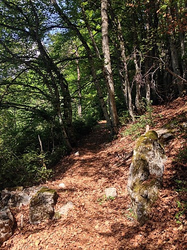 Natura 2000 : Cheval Blanc - Montagne de Boules - Barre des Dourbes
