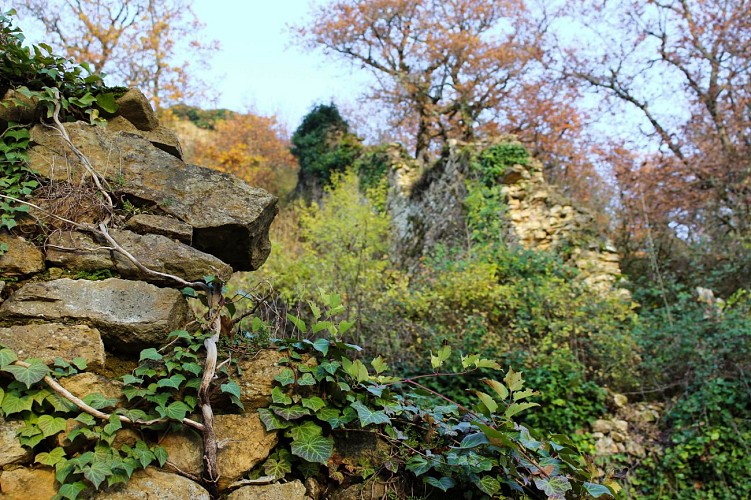 Ruines du Château de Saint-Germain