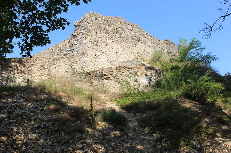 Ruines du Château de Saint-Germain