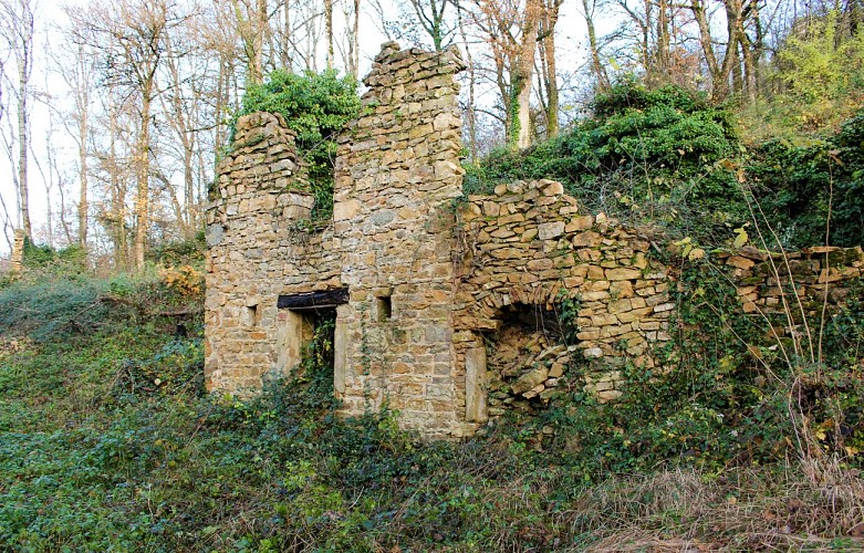 Vestiges du Château de Saint-Germain