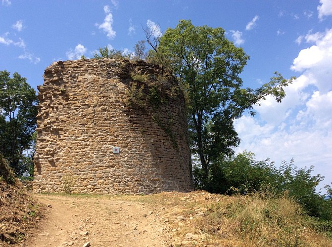 Vestiges du Château de Saint-Germain