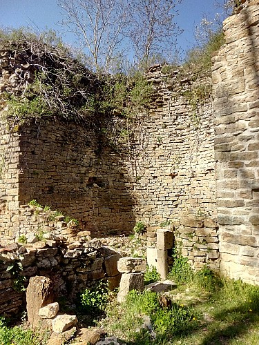 Vestiges du Château de Saint-Germain