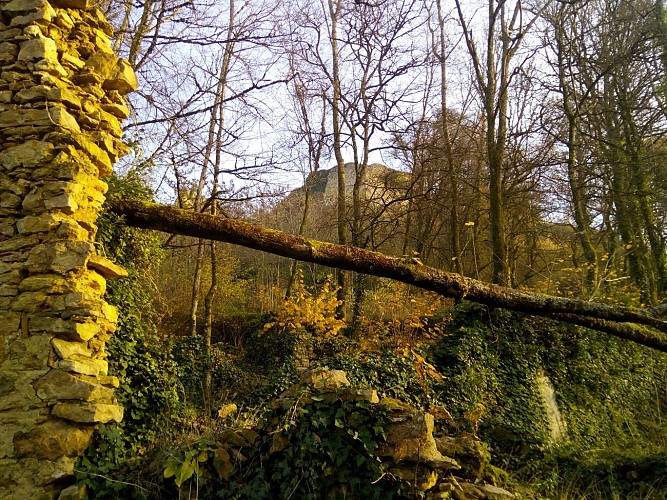 Vestiges du Château de Saint-Germain