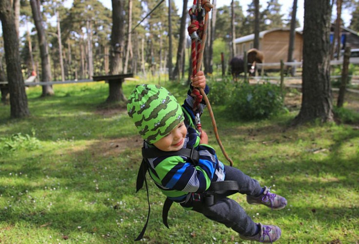 Tyroliennes géantes