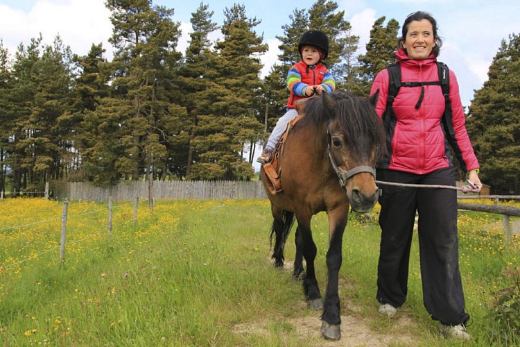 Tyroliennes géantes