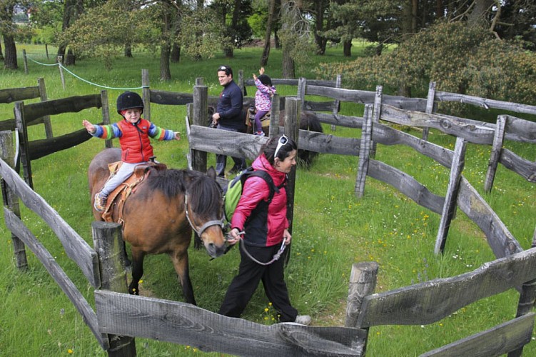 Tyroliennes géantes