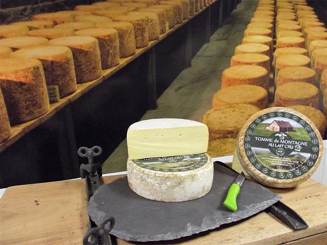 Dairy "Fromagerie des Monts du Cantal"