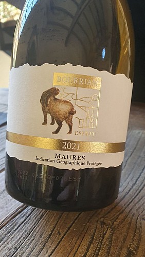 Domaine viticole du Bourrian