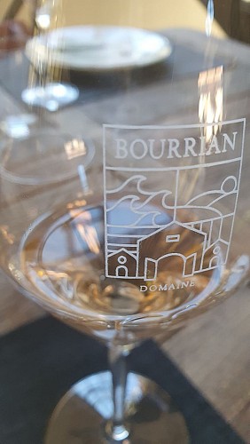 Domaine viticole du Bourrian