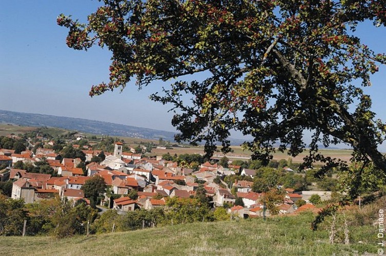Artonne Village wine-growing