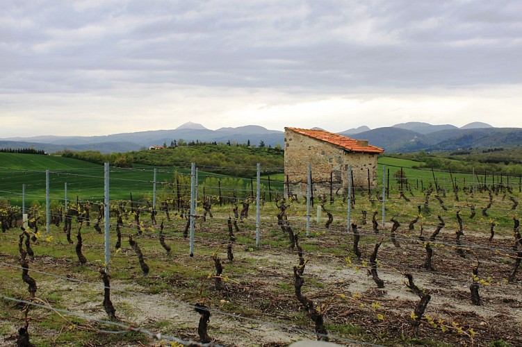 Weindorf von Saint-Bonnet-près-Riom