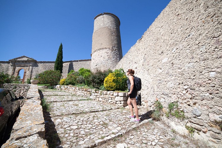 Château de Pontevès